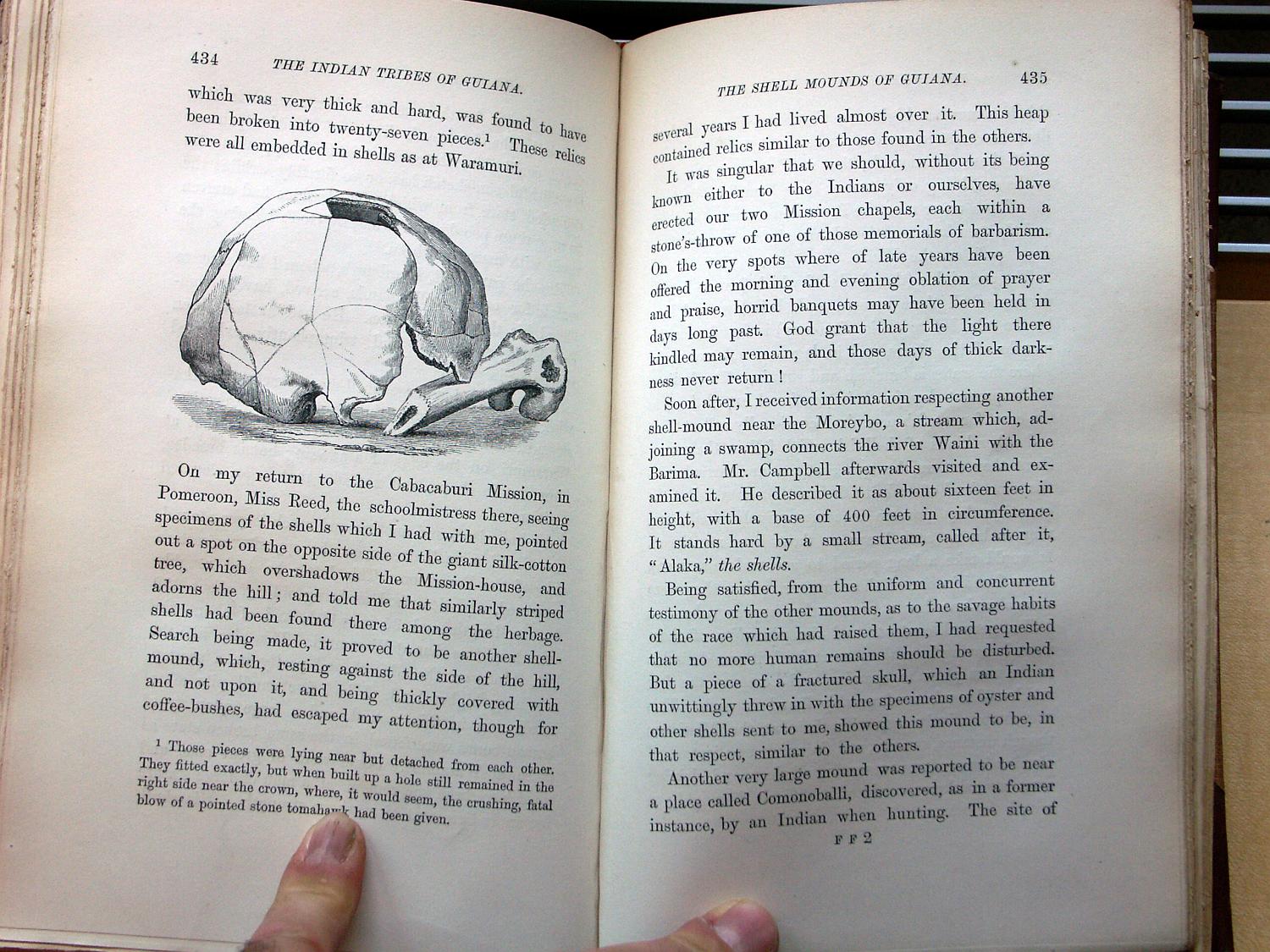 zz-bret68,s.434 mound am rio waini und comonoballi